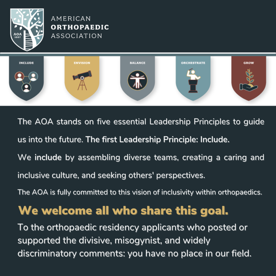 Infographic detailing the AOA's commitment to fostering diversity and inclusivity.