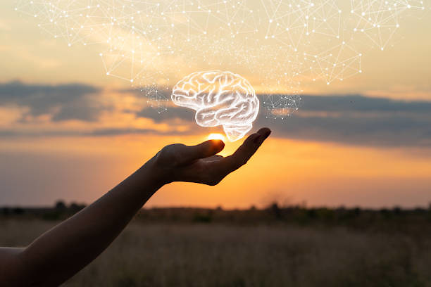 handing holding illustration of a brain against sunset