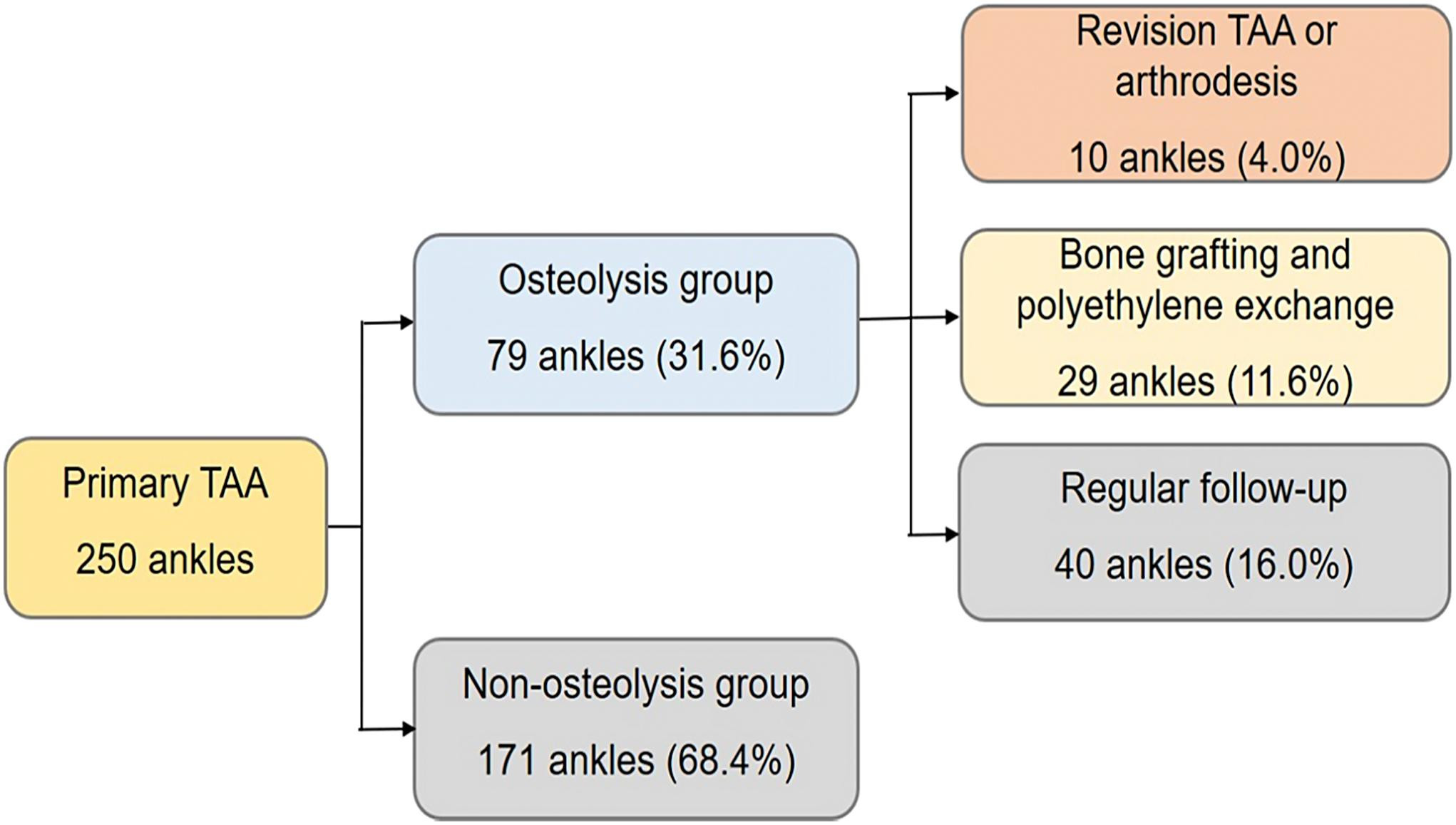 Flow chart depicting the outcomes of the 250 primary total ankle arthroplasties