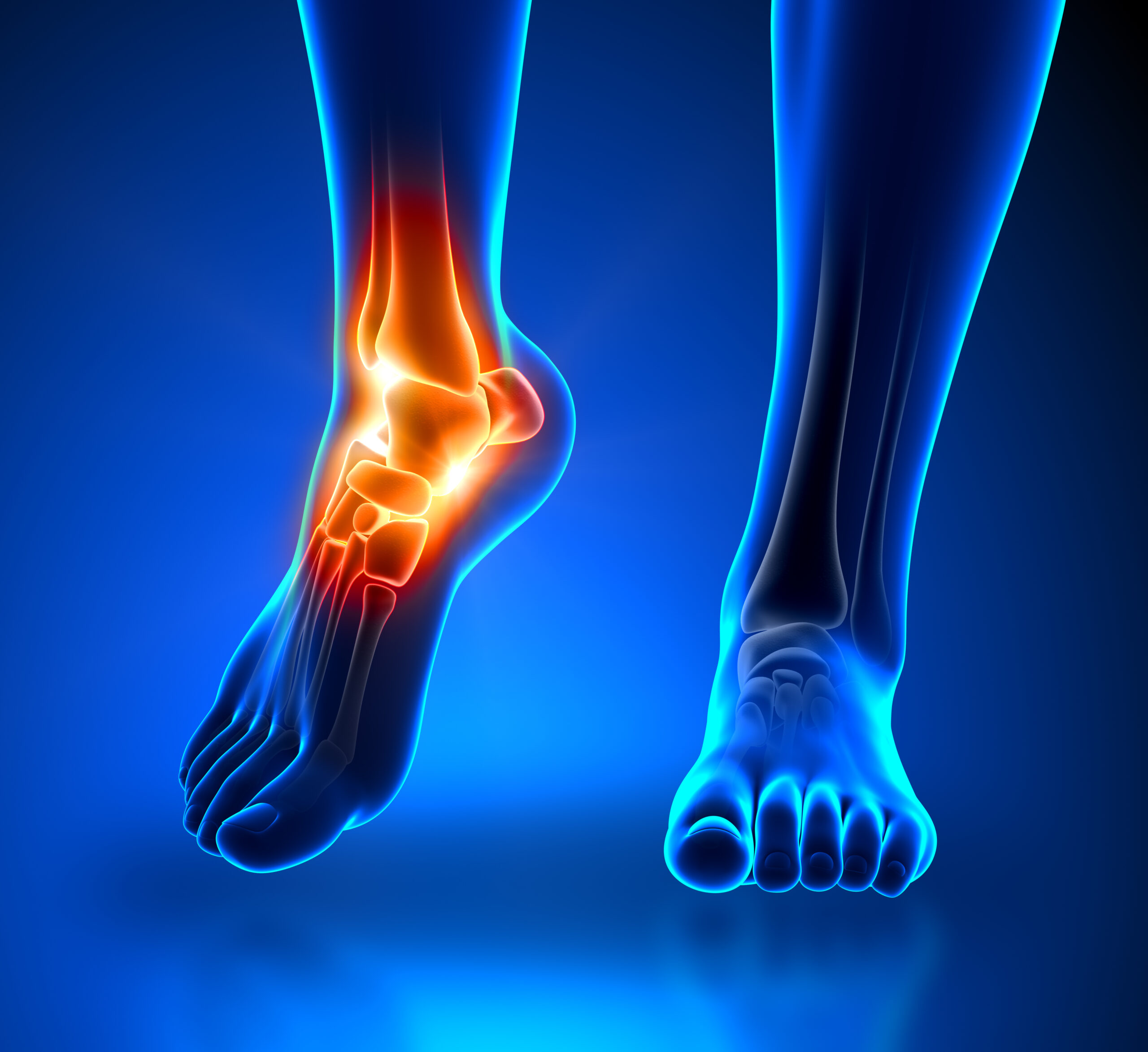 Graphic illustration of foot and ankle anatomy
