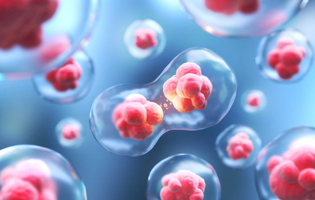 Illustration of stem cells.
